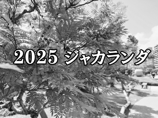 2025年　ジャカランダのアルバム（6/21更新終了）